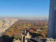 Bicicletta a Central Park