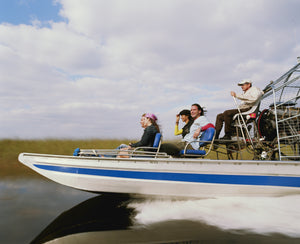 Escursione Everglades con Opzione Tour della Città di Miami